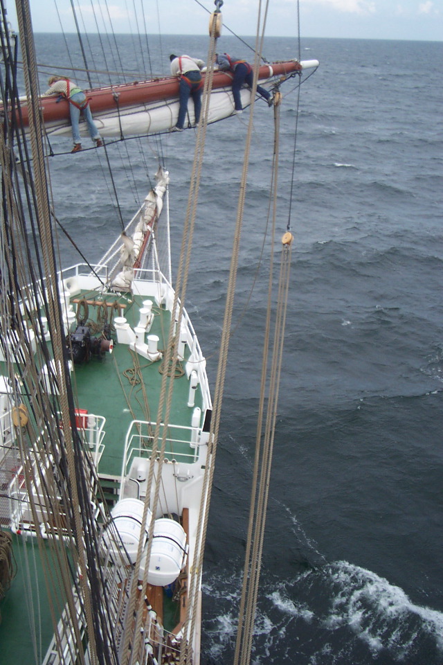 DCP_4031.JPG