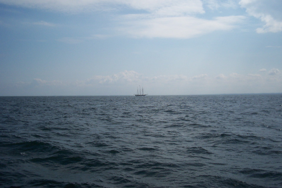 DCP_4046.JPG