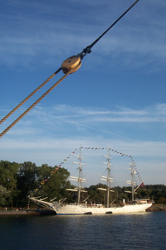 DCP_4075.JPG
