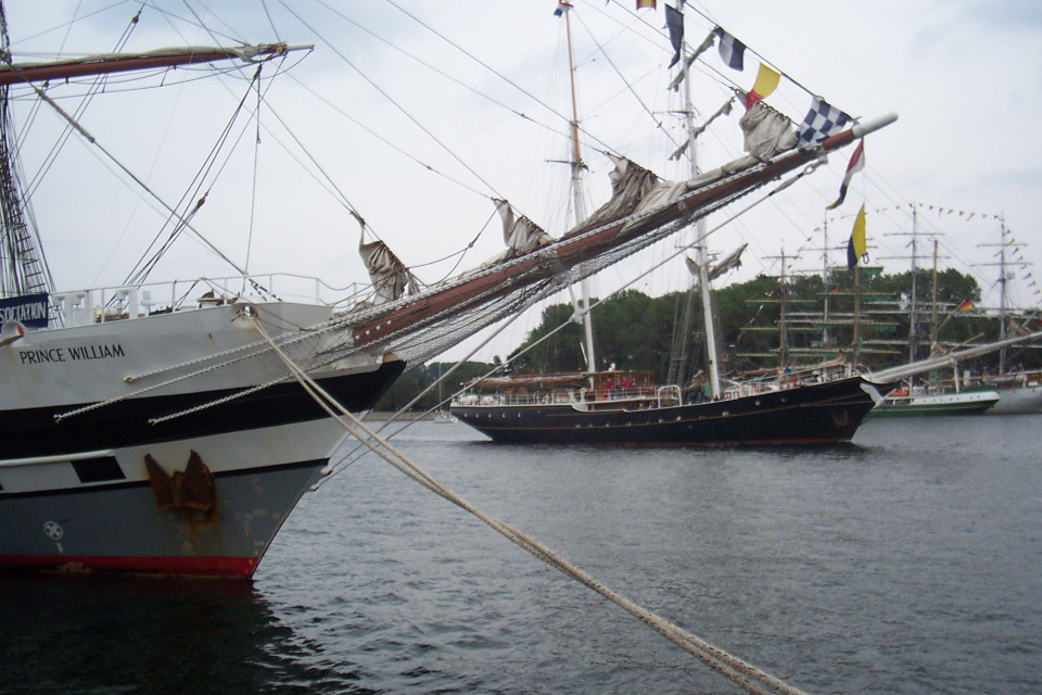 DCP_4113.JPG
