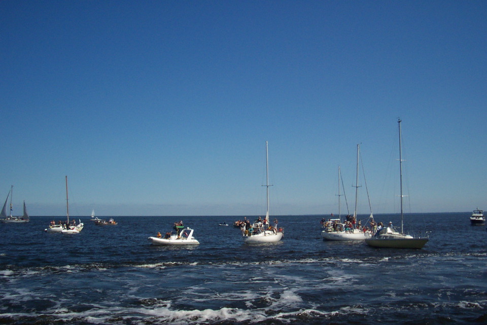 DCP_3778.JPG