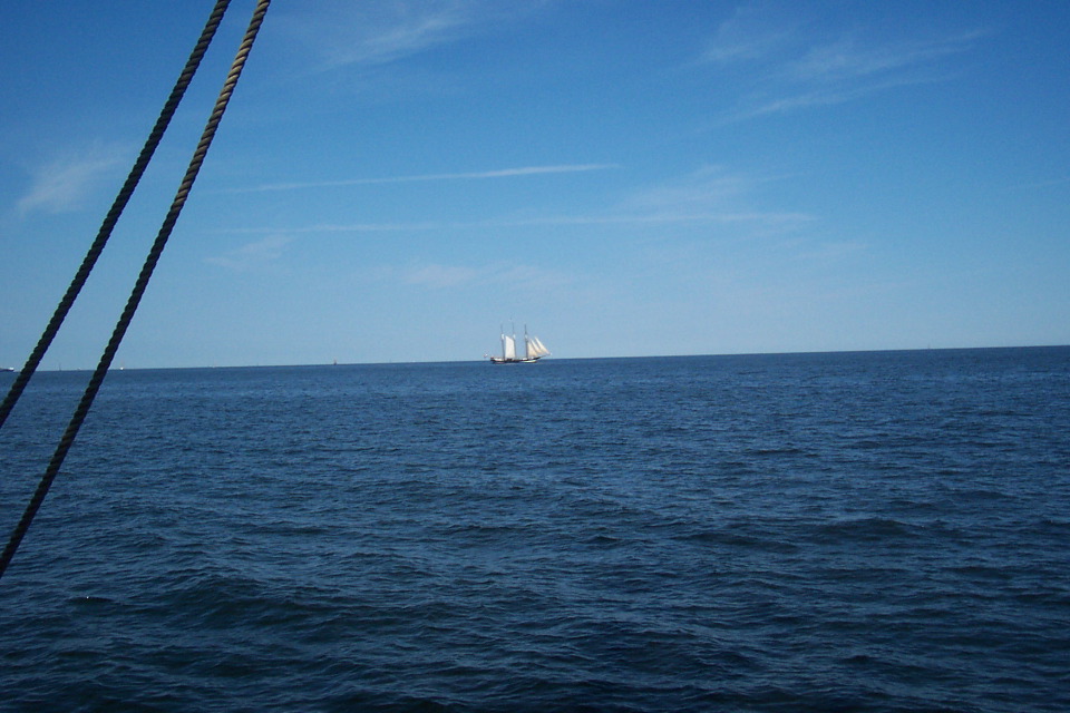 DCP_3780.JPG