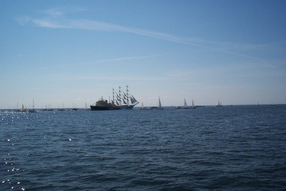 DCP_3781.JPG
