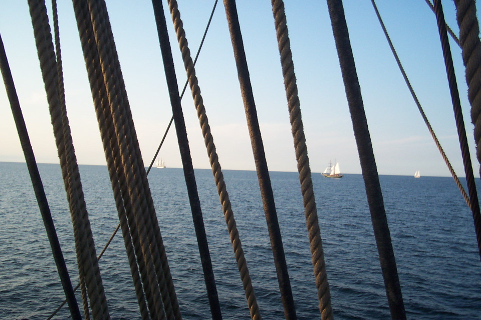 DCP_3792.JPG