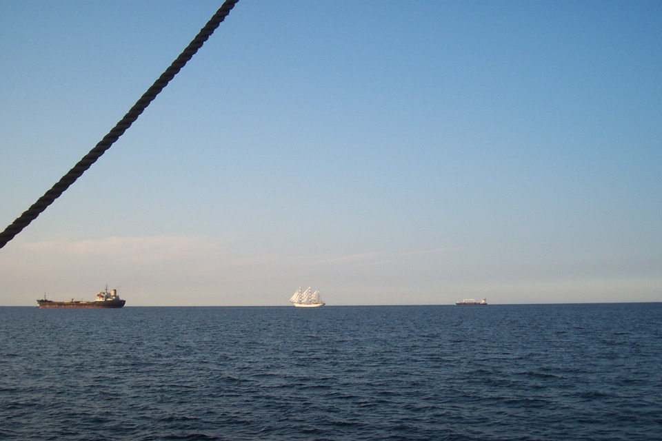 DCP_3794.JPG