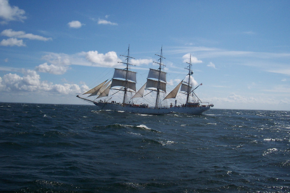 DCP_3802.JPG