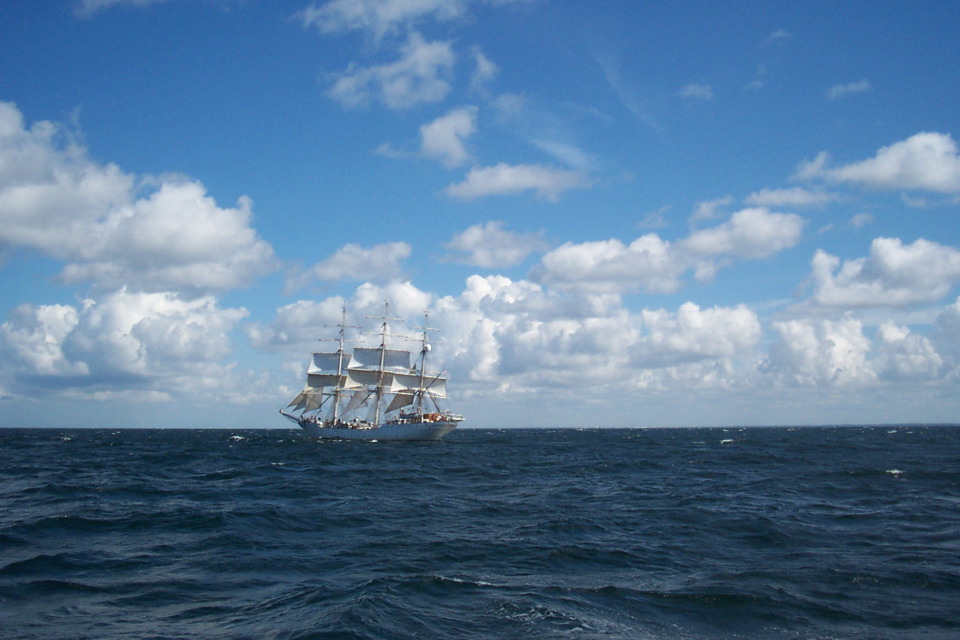 DCP_3803.JPG