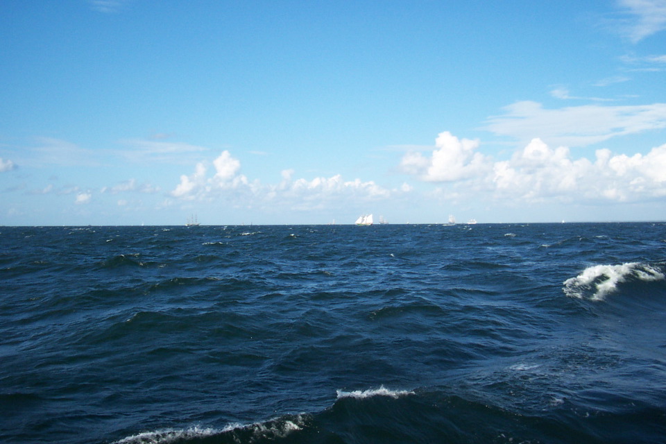 DCP_3805.JPG