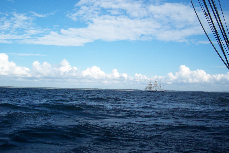 DCP_3807.JPG