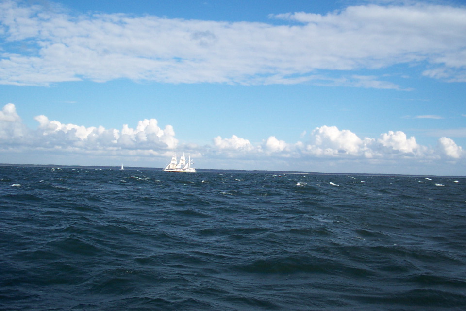 DCP_3813.JPG