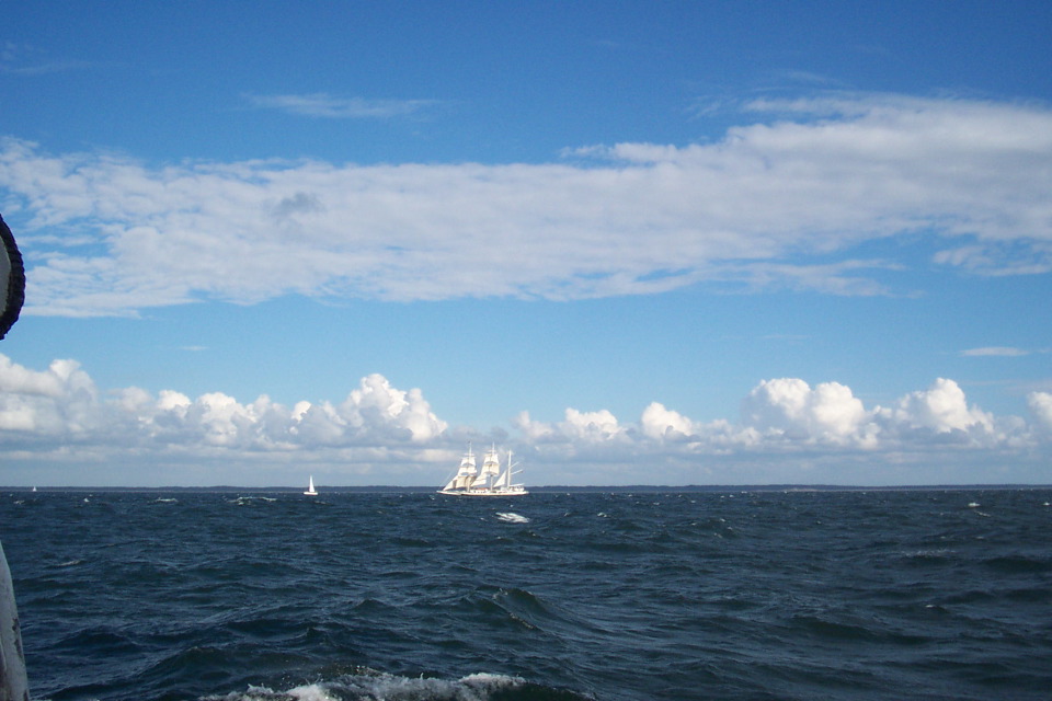 DCP_3814.JPG