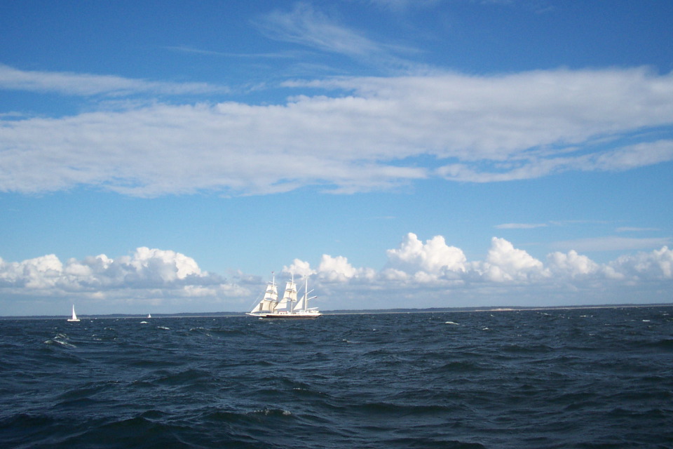 DCP_3815.JPG