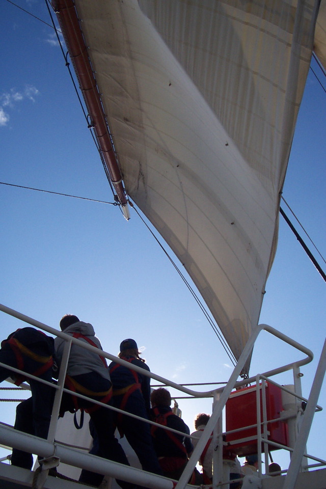 DCP_3821.JPG