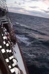 DCP_3842.JPG