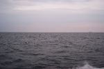 DCP_3948.JPG