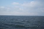 DCP_3958.JPG