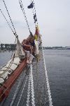 DCP_4121.JPG